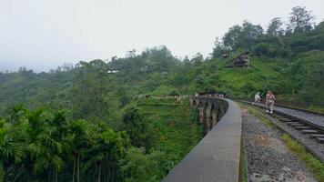 turistas andar em ponte com estrada de ferro dentro selva. Ação. caminhada ao longo antigo pedra ponte dentro selva. lindo panorama a partir de ponte em colinas do verde selva video