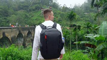 homem dentro selva perto ponte. Ação. homem com mochila parece costas às caminhada trilha dentro selva. bonito homem em topo do antigo pedra ponte dentro selva video