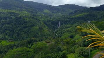 Scenic view of tropical mountain valley. Action. Green rainforests with mountains and rivers. Beautiful view of valley with forests and mountains in cloudy summer weather video