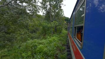 Visão a partir de janela do comovente trem dentro selva. Ação. viajando trem dentro meio do verde floresta dentro tropical montanhas. lindo trem passeio dentro trópicos em nublado dia video