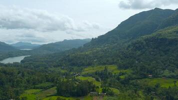 Scenic view of tropical mountain valley. Action. Green rainforests with mountains and rivers. Beautiful view of valley with forests and mountains in cloudy summer weather video