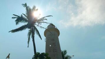 baixo ângulo Visão do uma lindo torre e uma Palma árvore contra azul nublado céu. Ação. branco farol e Palma árvore. video