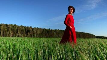 ritratto di un attraente donna nel rosso vestito nel un' campo di fresco verde Grano. azione clip. erbaceo sfondo. sorprendente natura, terreno agricolo, in crescita cereali. video