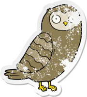 distressed sticker of a cartoon owl png