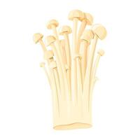 Cluster of Enoki Mushrooms. Bunch of fungus isolated. Vector illustration of an Asian cuisine ingredient. Close-up, transparent background.