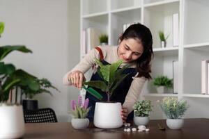 The concept of eco friendly housing, plant care and gardening. Preparing garden. Relax home gardening. Gardener woman asian hand planting flower in pot. Smiling woman takes care of plant photo