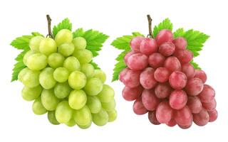 Red and green grape isolated on white background photo