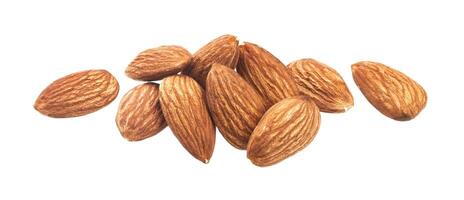 Heap of almond nuts isolated on a white background photo