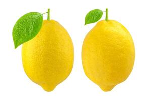 One Whole Lemon isolated on white photo