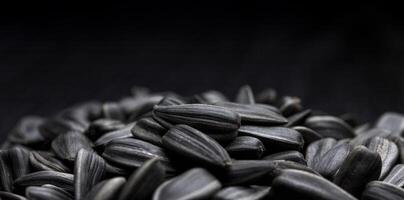 Sunflower seeds on black background. Copy space photo