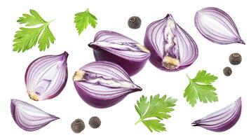 Red onion slices, parsley and black pepper isolated on white background photo