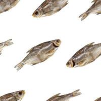 Dried fish seamless pattern. Isolated on white background photo