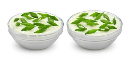 Sour cream and onion isolated on white background photo