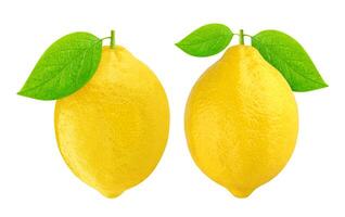 limón aislado sobre fondo blanco foto