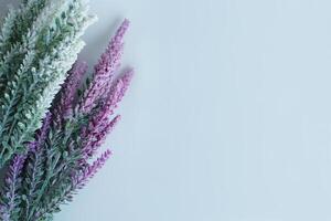 Decoration Flower Photography photo