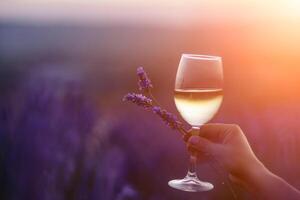 Glass white wine lavender field. Woman hand holds a glass with lavander and wine in the Lavender field at sunset Violet flowers on the background.. Conscious consumption. Wellness and natural concept photo