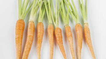 a group of carrots on a white background photo