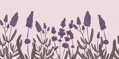 Seamless horizontal pattern with drawn flowers of lavender. Perfect for wallpaper, wrapping paper, textile products, print, web sites, background, social media, blog, presentation and greeting cards. vector