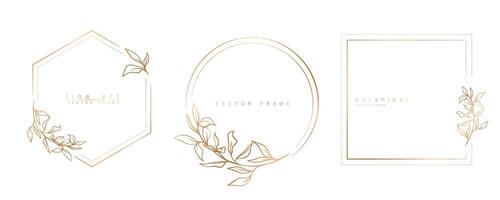 Set of floral frame templates in minimal linear style with hand drawn branches and leaves. Elegant frame. Botanical vector illustration for labels, corporate identity, wedding invitation, logo