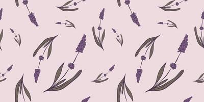 Seamless pattern with hand drawn flowers of lavender. Perfect for wallpaper, wrapping paper, textile products, print, web sites, background, social media, blog, presentation and greeting cards. vector