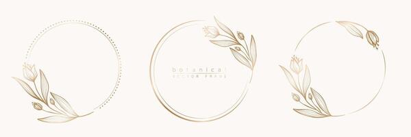 conjunto de floral marco plantillas en mínimo lineal estilo con mano dibujado ramas y hojas. elegante marco. botánico vector ilustración para etiquetas, corporativo identidad, Boda invitación, logo