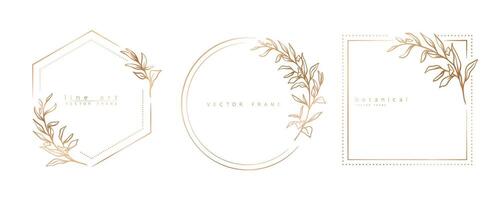 Set of floral frame templates in minimal linear style with hand drawn branches and leaves. Elegant frame. Botanical vector illustration for labels, corporate identity, wedding invitation, logo