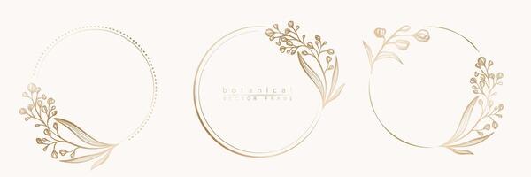 conjunto de floral marco plantillas en mínimo lineal estilo con mano dibujado ramas y hojas. elegante marco. botánico vector ilustración para etiquetas, corporativo identidad, Boda invitación, logo