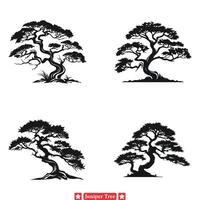 Majestic Juniper Tales  Intricate Silhouette Designs for Nature lovers vector
