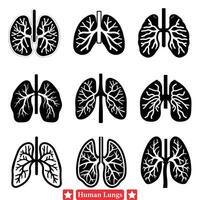 Human Lung Anatomy Silhouettes Perfect for Medical Research Presentations vector