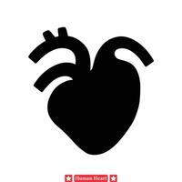 Medical Illustrations Made Easy  Human Heart Vector Silhouette Collection for Clinicians, Researchers, and Educators