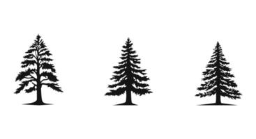 AI generated Coniferous Canopy Vector Pack