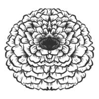 Hand drawn monochrome blooming flower. Vintage vector illustration isolated on white background.