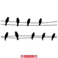 Suspended Songs Melodic Birds on Wire Vector Designs