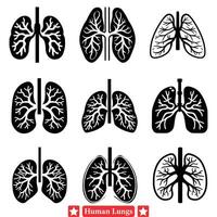 Engaging Human Lung Silhouettes Set Ideal for Health related Blog Graphics vector