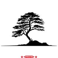 Cypress Tree Silhouette Bundle Elegant Nature Graphics for Creative Projects vector