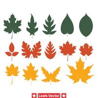 Whispering Leaves  Ethereal Leaf Silhouette Set vector