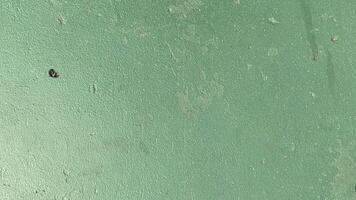 Green wall texture background photo