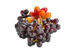 Bunches of freshly harvested ripe red grapes, purple grapes, isolated on white background with clipping path. photo