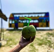 Green coconut with tourist bus at cox bazar sea beach photo