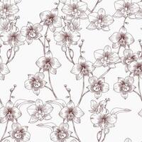 Hand Drawn Orchid Flower Seamless Pattern vector