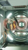 skull of dead ram in international space station video