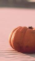Halloween Pumpkin on the beach dunes video