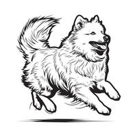 American Eskimo Running Images, Design, art vector