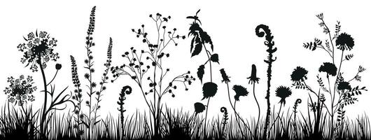 Background with black silhouettes of meadow wild grasses and wildflowers. Floral background. Nature decor element for banners, advertising, leaflet, cards, invitation, congratulation and so on. vector