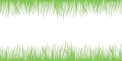 Green spring background with place for text. Grass border, vector Illustration.