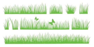 Spring and summer herbal set isolated on white background. Green grass. Vector illustration