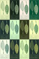 Set of vector drawing SAGE LEAVES in various colors. Hand drawn illustration. The Latin name is SALVIA OFFICINALIS L.