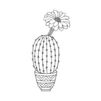 Cactus in doodle style vector