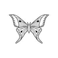 Butterfly in doodle style vector