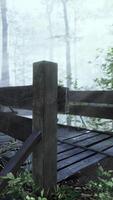 mystical old wooden bridge in the fog video